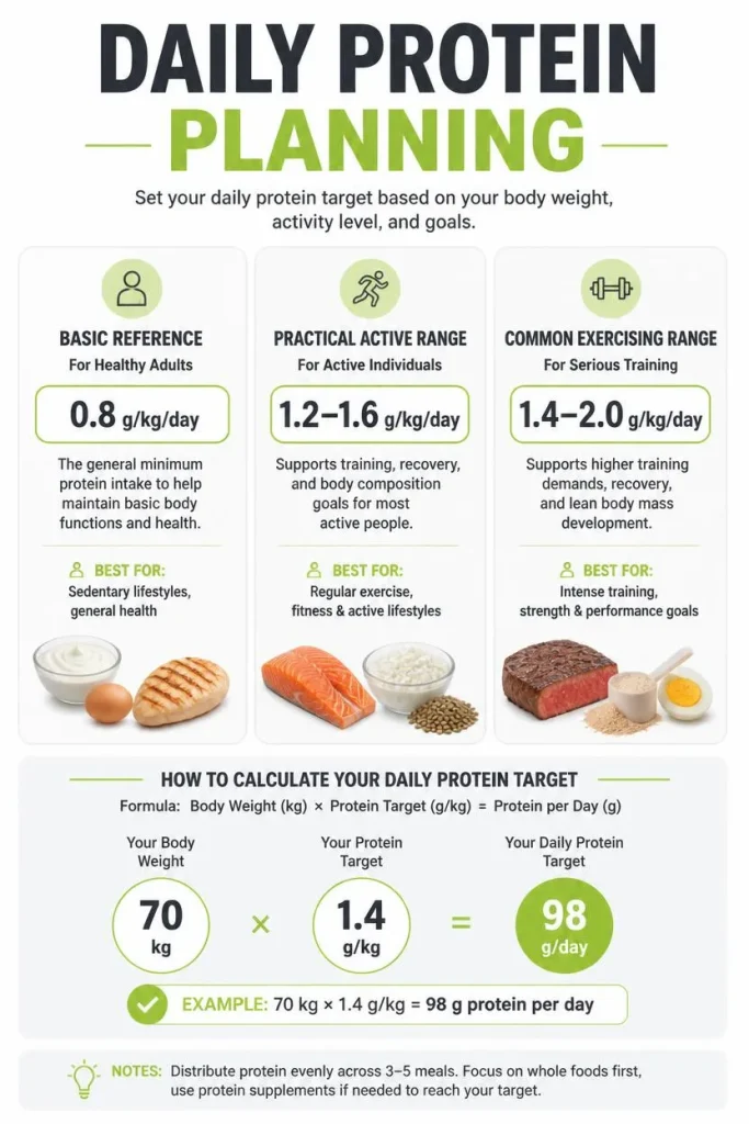 Daily protein planning guide showing practical protein targets and food choices for beginners